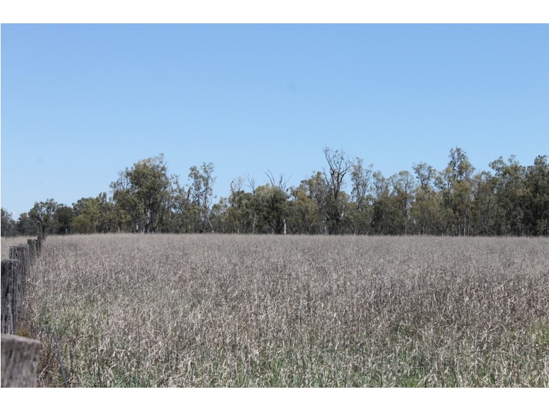 . MEENAWARRA HOUSE BLOCK, Cecil Plains QLD 4407