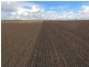 Jimbour East QLD 4352