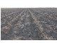 Jimbour East QLD 4352