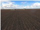 Jimbour East QLD 4352