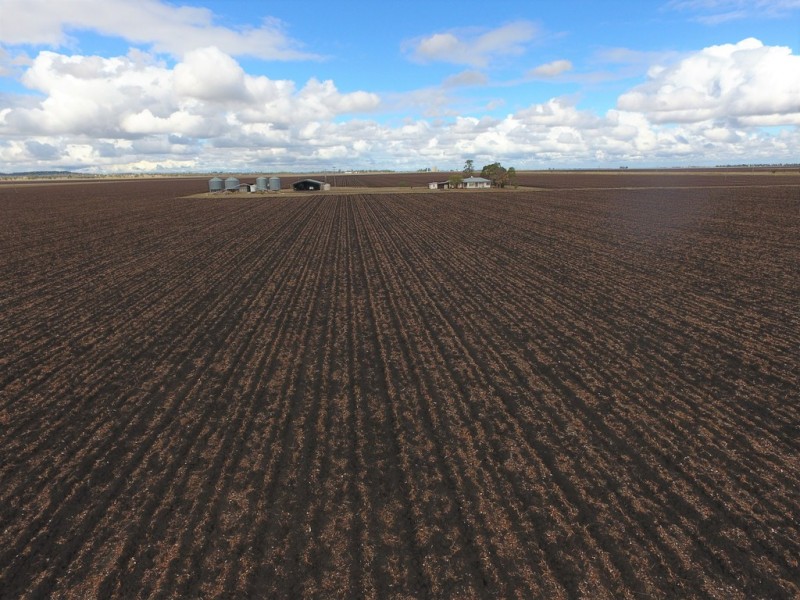 Jimbour East QLD 4352
