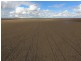 Jimbour East QLD 4352