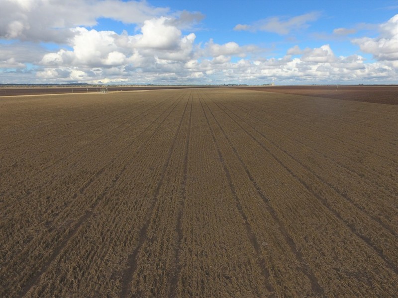 Jimbour East QLD 4352