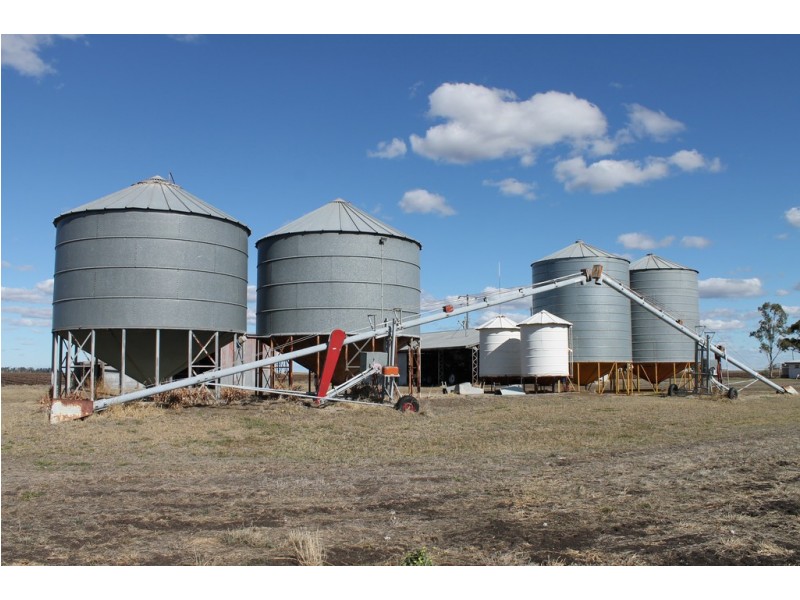 Jimbour East QLD 4352