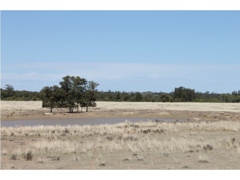 778 Benns Rd, Tara QLD 4421