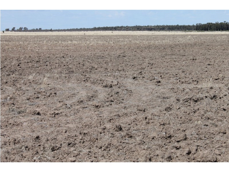 778 Benns Rd, Tara QLD 4421