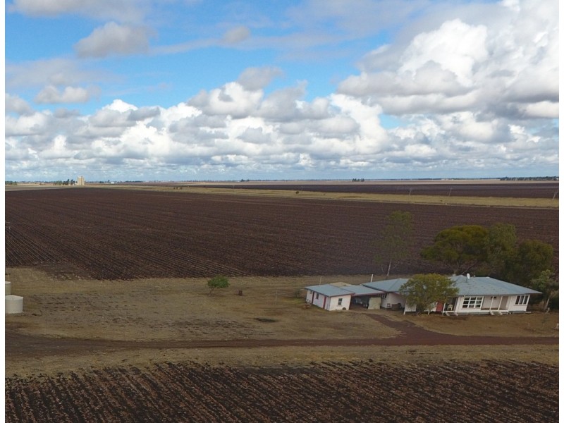 2908 Dalby Jandowae Road, Dalby QLD 4405