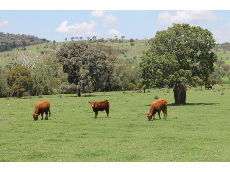 304 Sunnyvale Road, Bunya Mountains QLD 4405