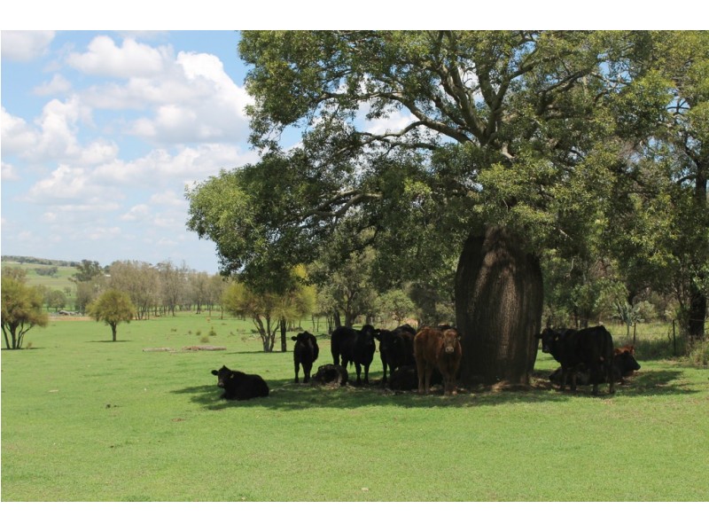 304 Sunnyvale Road, Bunya Mountains QLD 4405