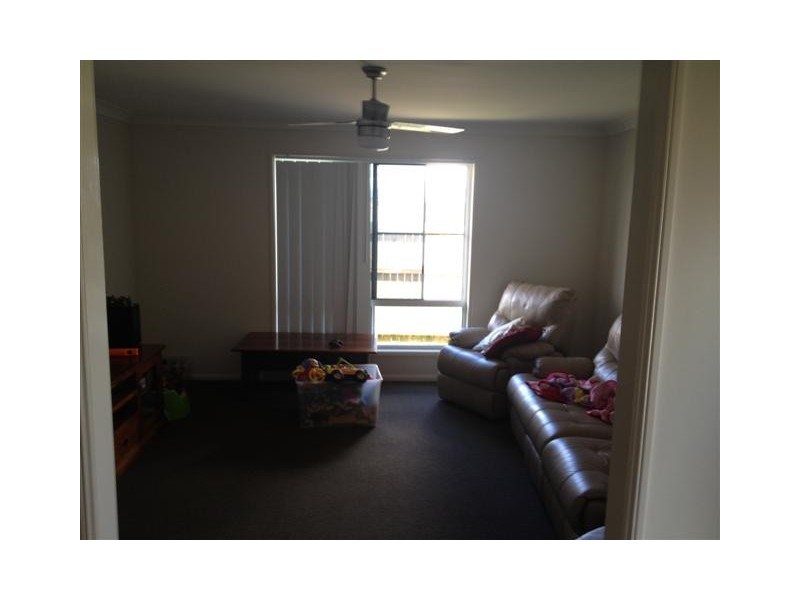 3 Paper Court, Dalby QLD 4405