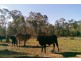 Moonie QLD 4406