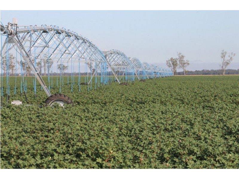 16860 Warrego Highway, Bowenville QLD 4404