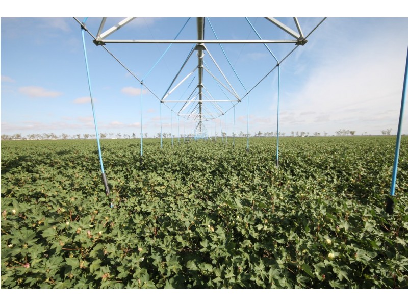 16860 Warrego Highway, Bowenville QLD 4404