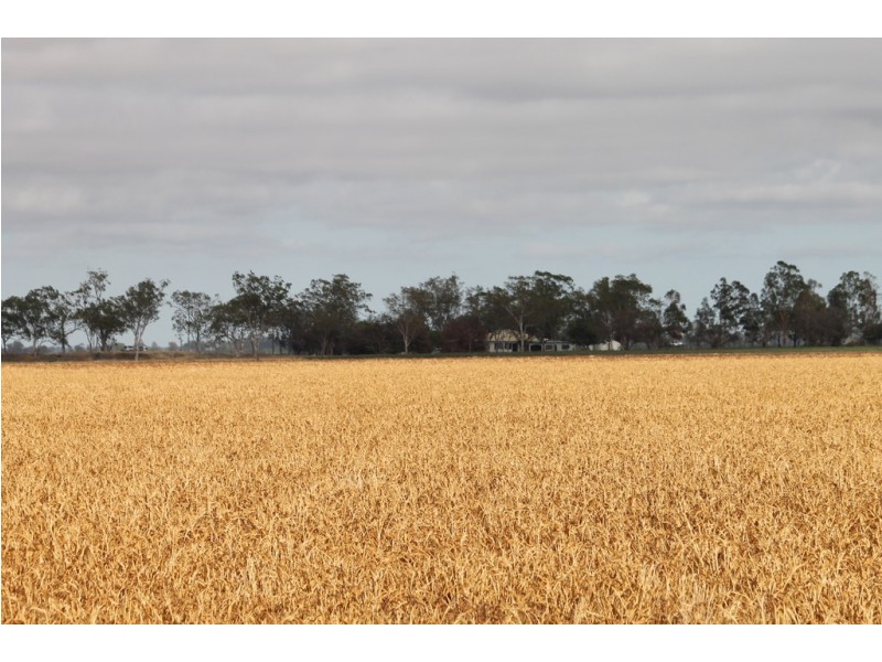 16860 Warrego Highway, Bowenville QLD 4404