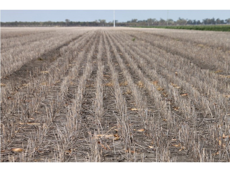 16860 Warrego Highway, Bowenville QLD 4404