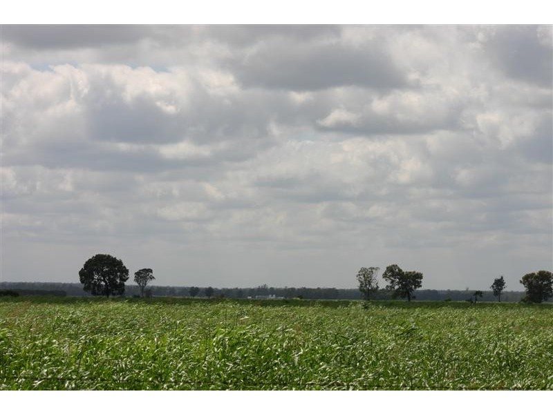 . Moonie Park, Tara QLD 4421