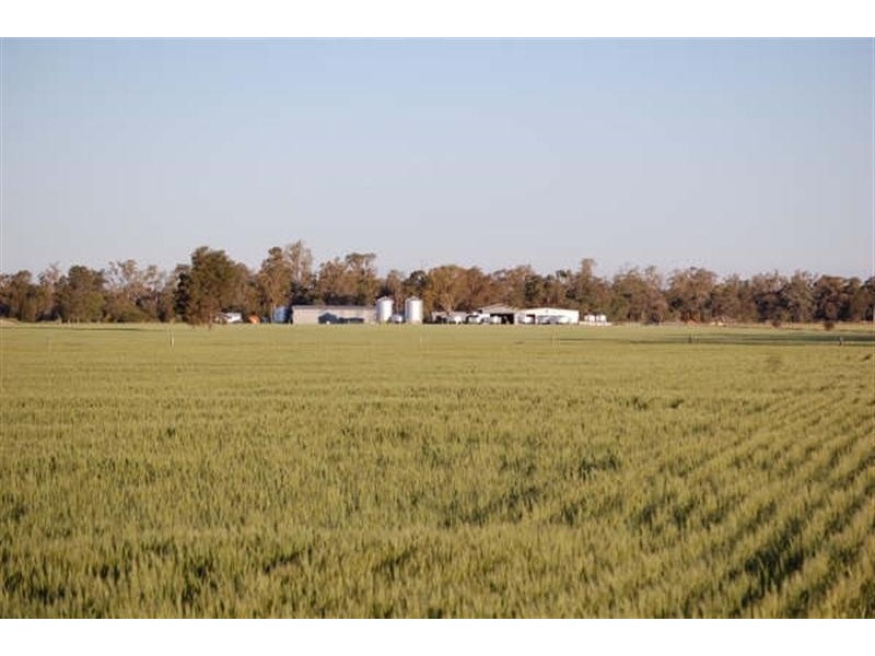 . Moonie Park, Tara QLD 4421