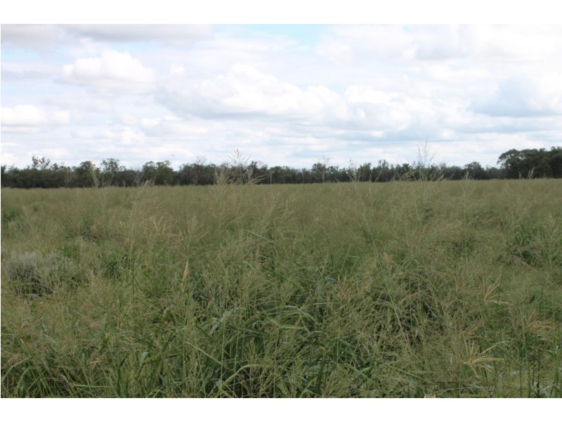 0 Lockwood Road, Yarranlea QLD 4356