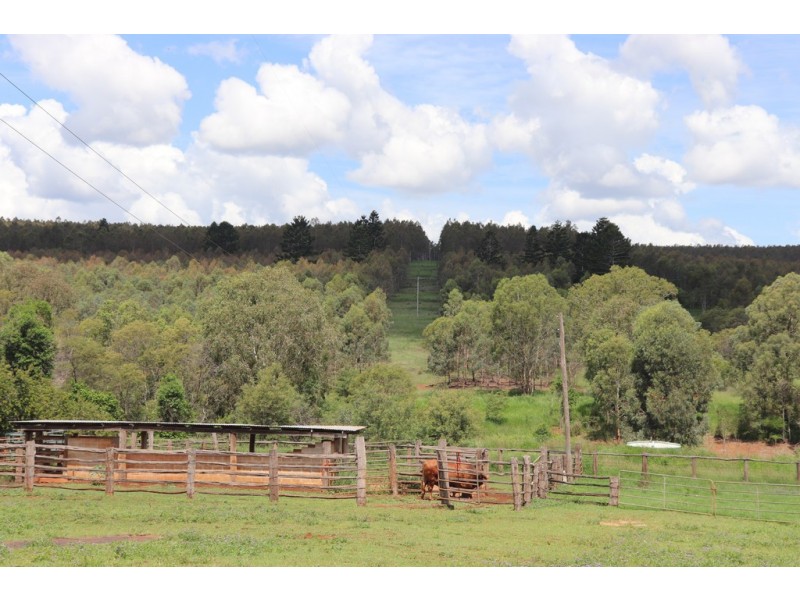 356 McLeods Road, Monto QLD 4630