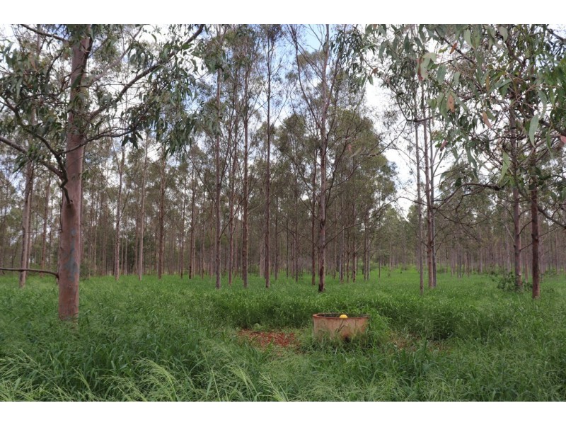 356 McLeods Road, Monto QLD 4630