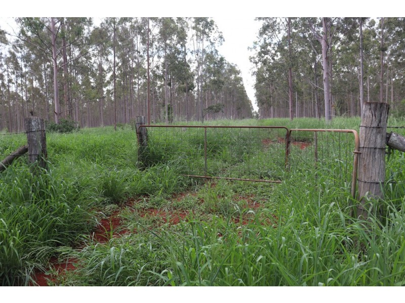 356 McLeods Road, Monto QLD 4630