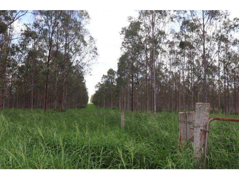 356 McLeods Road, Monto QLD 4630