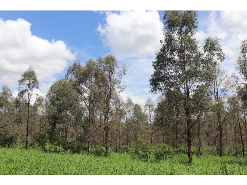 356 McLeods Road, Monto QLD 4630