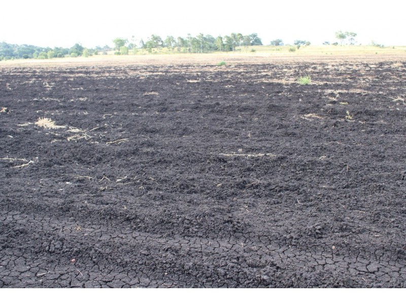 768 Oakey Pittsworth Road, Aubigny QLD 4401