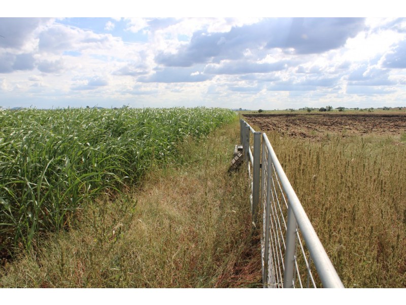 768 Oakey Pittsworth Road, Aubigny QLD 4401