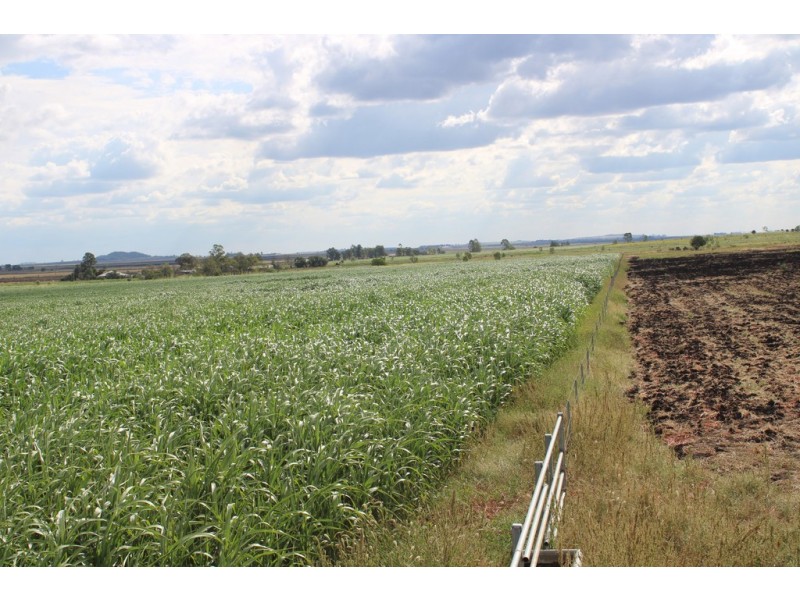 768 Oakey Pittsworth Road, Aubigny QLD 4401