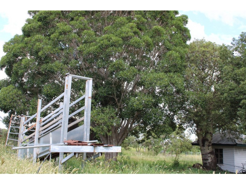 768 Oakey Pittsworth Road, Aubigny QLD 4401