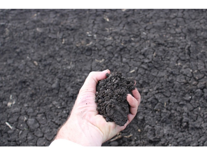 768 Oakey Pittsworth Road, Aubigny QLD 4401