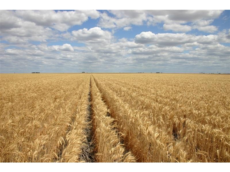 . “PRAIRIE”, Dalby QLD 4405