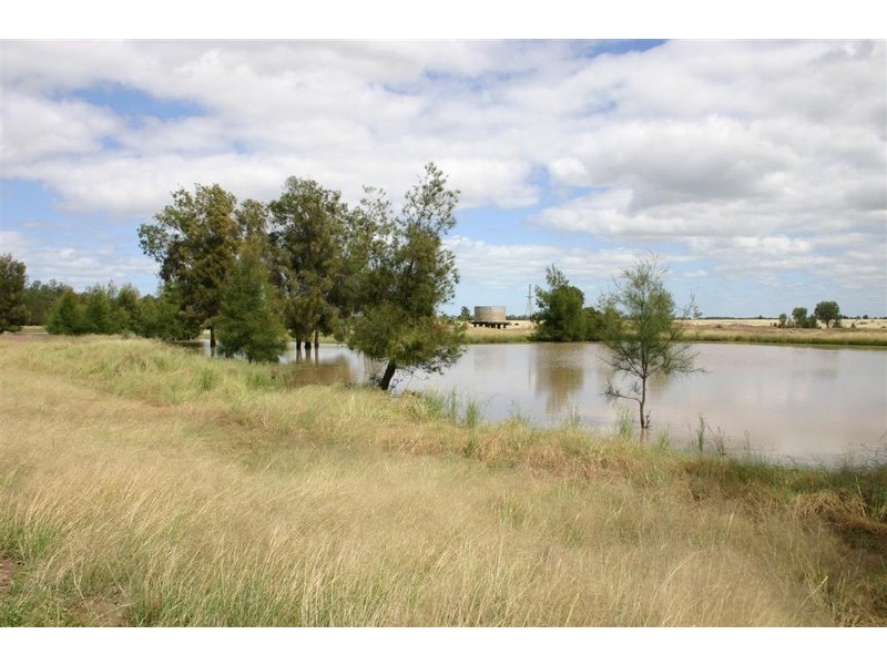Tara QLD 4421