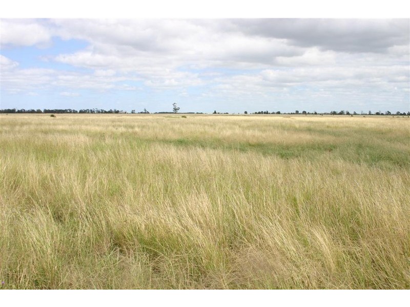 Tara QLD 4421