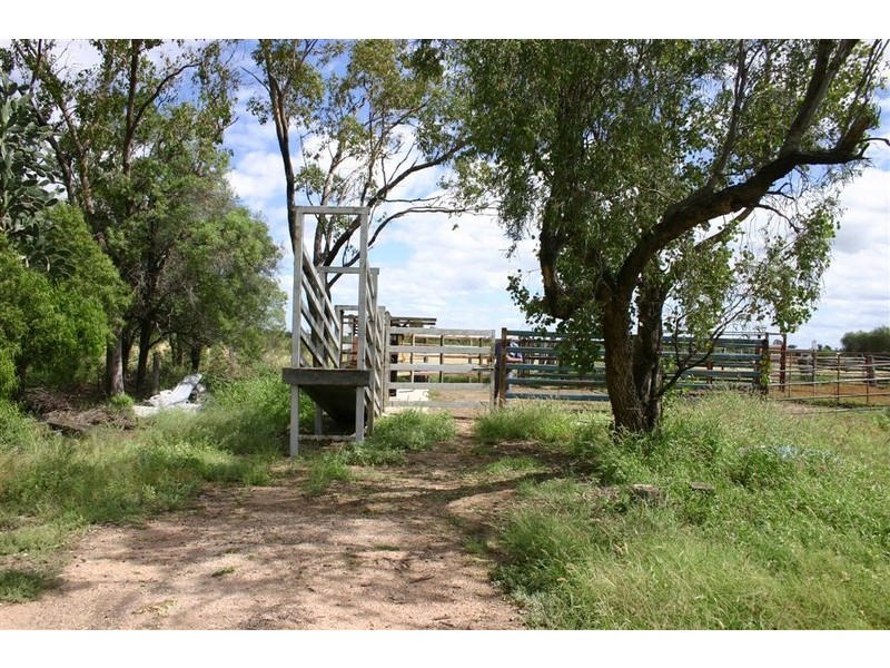 Tara QLD 4421