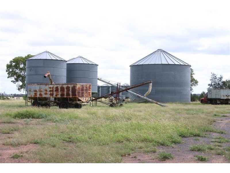 Tara QLD 4421