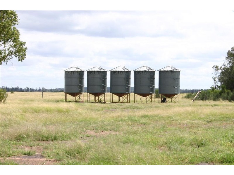 Tara QLD 4421