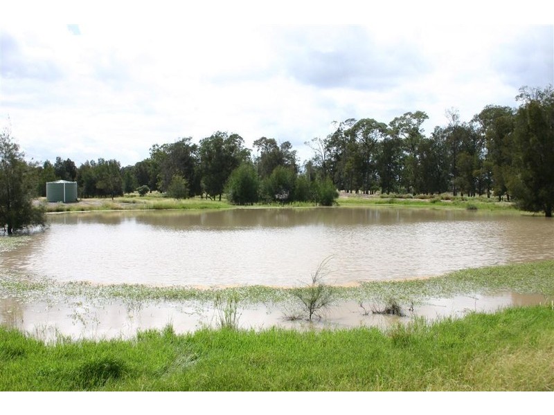 Tara QLD 4421