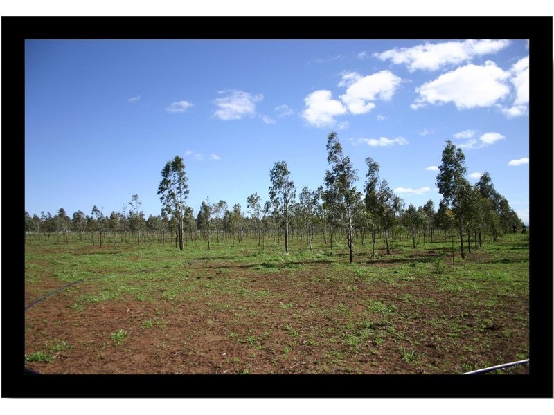 Bowenville QLD 4404