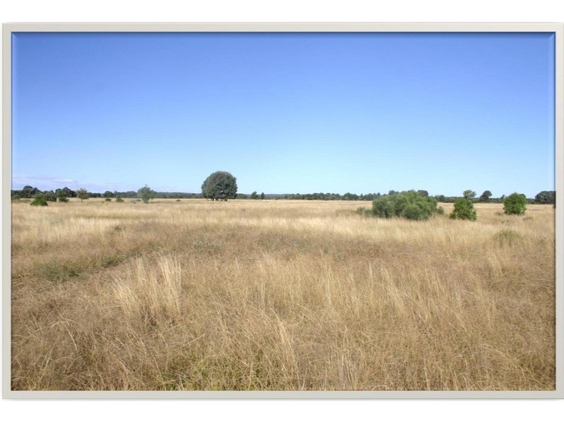 Darr Creek QLD 4410