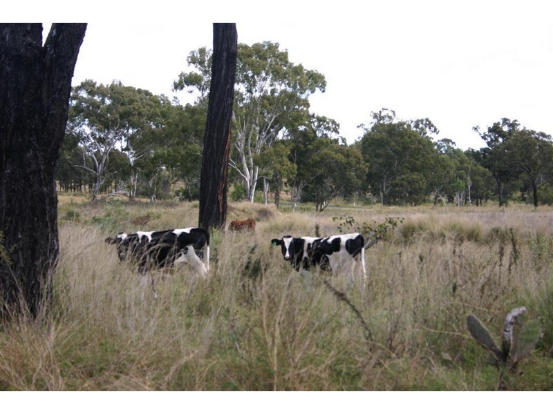 Maclagan QLD 4352