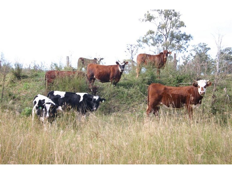 Maclagan QLD 4352