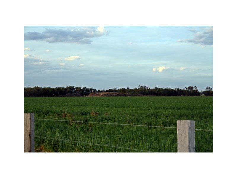 Dalby QLD 4405