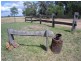 Tara QLD 4421
