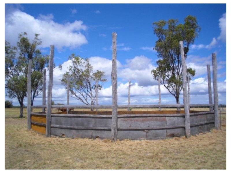 Tara QLD 4421