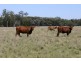 Tara QLD 4421