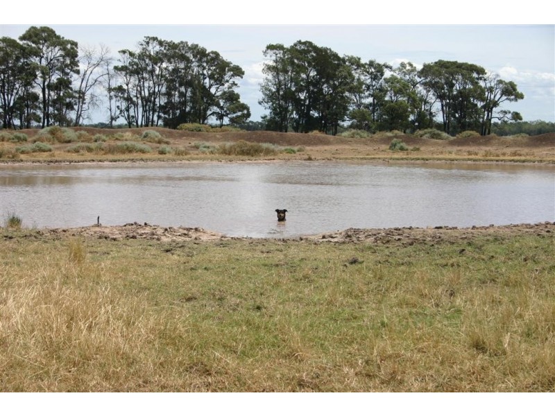 Tara QLD 4421