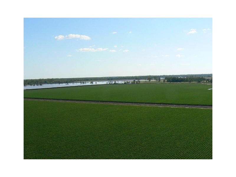 Condamine QLD 4416