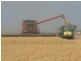 Condamine QLD 4416